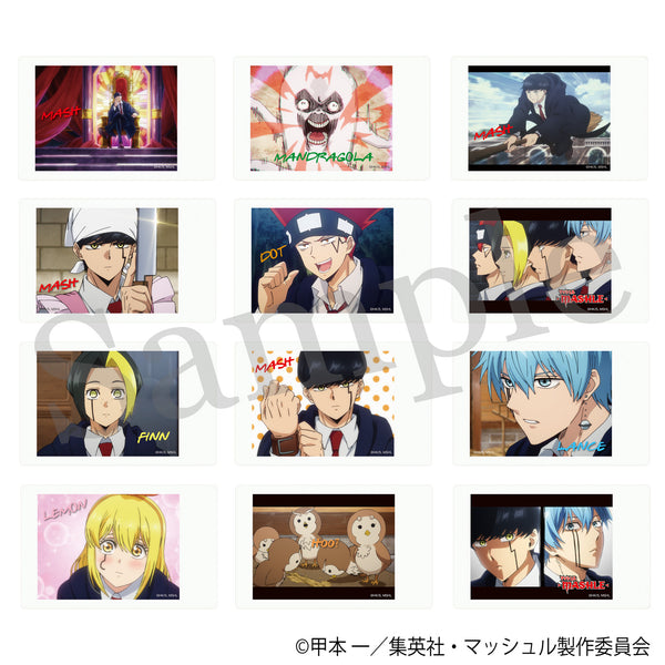 『マッシュル-MASHLE-』トレーディングチェキ Vol.1 全12種【コンプリートセット】